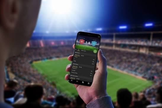 Explore the Exciting World of 1xBet South Africa